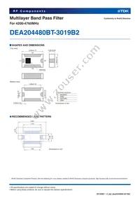 DEA204480BT-3019B2 Datasheet Page 2
