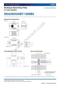 DEA205425BT-1209B2 Datasheet Page 2