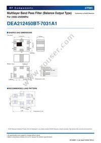 DEA212450BT-7031A1 Datasheet Page 2