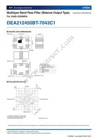 DEA212450BT-7043C1 Datasheet Page 2