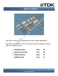 DEA212495BT-7055A2 Datasheet Page 2