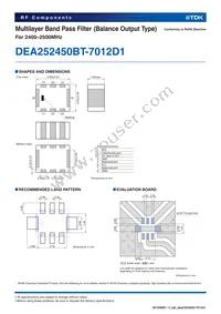 DEA252450BT-7012D1 Datasheet Page 2