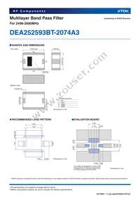 DEA252593BT-2074A3 Datasheet Page 2