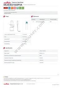 DEJE3E2102ZP3A Datasheet Cover