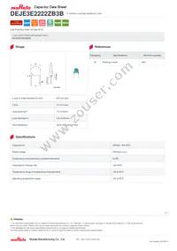 DEJE3E2222ZB3B Datasheet Cover