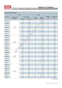 DKM10A-12 Datasheet Page 2