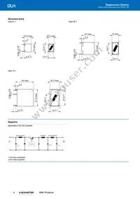 DLH-31-0005 Datasheet Page 2