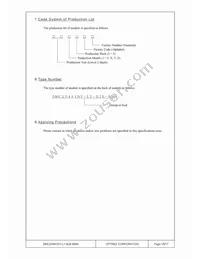 DMC-20481NY-LY-BJE-BMN Datasheet Page 15