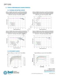 DP7120G Datasheet Page 8