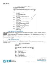 DP7160G-T050 Datasheet Page 19