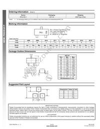 DPLS160-7 Datasheet Page 4