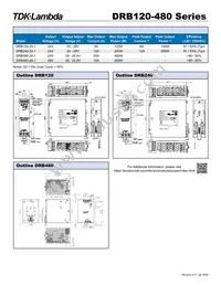 DRB480481 Datasheet Page 2