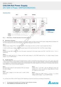 DRP024V060W3AA Datasheet Page 12