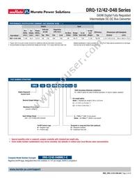 DRQ-12/42-D48NKA-C Datasheet Page 2