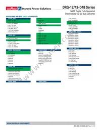 DRQ-12/42-D48NKA-C Datasheet Page 19