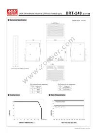 DRT-240-24 Datasheet Page 2