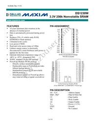 DS1230W-100IND Datasheet Cover