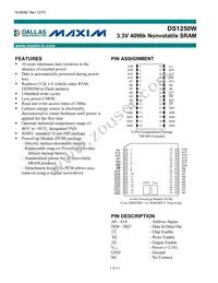 DS1250W-100IND Datasheet Cover