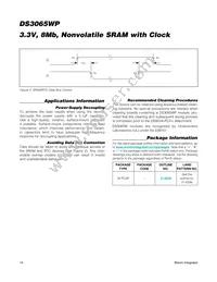 DS3065WP-100IND+ Datasheet Page 14