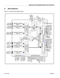 DS33X41 Datasheet Page 20