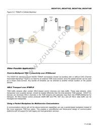 DS34T108GN Datasheet Page 17