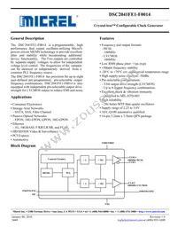 DSC2041FE1-F0014T Datasheet Cover