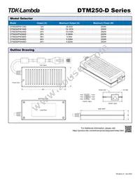 DTM250PW540D Datasheet Page 2