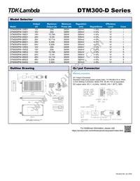 DTM300PW540D2 Datasheet Page 2