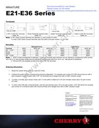 E21-00AX Datasheet Page 5