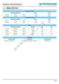 E41/17/12-3C95-G500 Datasheet Page 2