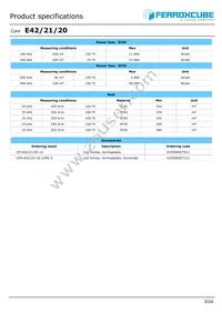 E42/21/20-3C95-G500 Datasheet Page 2