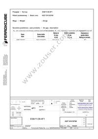 E58/11/38-4F1 Datasheet Page 2