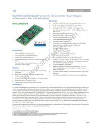 EBVW025A0B9641-PZ Datasheet Cover