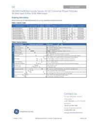 EBVW025A0B9641-PZ Datasheet Page 18