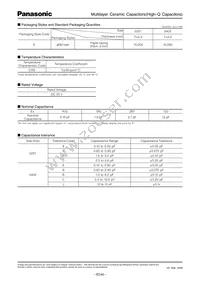 ECD-G0E3R3B Datasheet Page 2