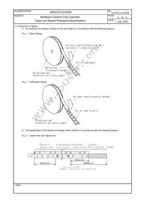 ECJ-1V41E105M Datasheet Page 20