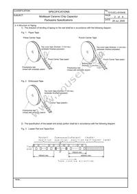 ECJ-3YF1C106Z Datasheet Page 21