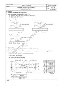 ECJ-3YF1C106Z Datasheet Page 22