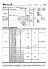 ECK-THC101KB Datasheet Page 3