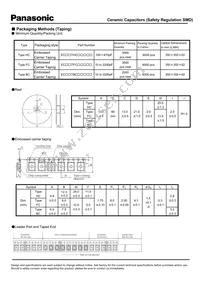 ECK-THC101KB Datasheet Page 4