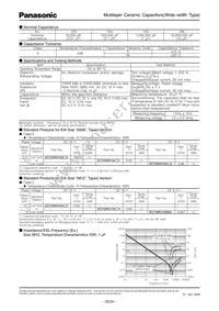 ECY-39RJ106MV Datasheet Page 2