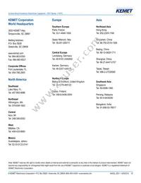 EEV337M025A9LAA Datasheet Page 15