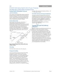 EHW007A0B841Z Datasheet Page 11