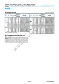 EKMG100ETD101ME11D Datasheet Page 3