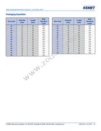 ELH129M063AT5AA Datasheet Page 22