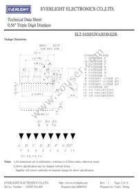 ELT-542SYGWA/S530-E2/R Datasheet Page 2