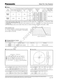 ERA-6YKD914V Datasheet Page 2
