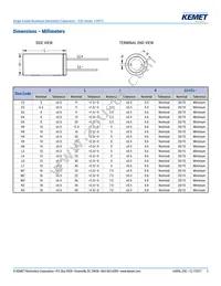 ESC108M016AH4AA Datasheet Page 3