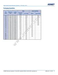 ESC108M016AH4AA Datasheet Page 17