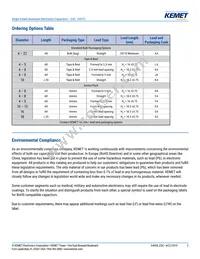 ESC108M035AL4AA Datasheet Page 2